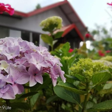 Pine Haven Resorts Takdah Ngoại thất bức ảnh