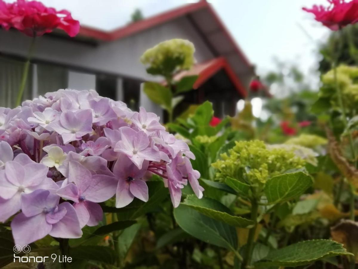 Pine Haven Resorts Takdah Ngoại thất bức ảnh